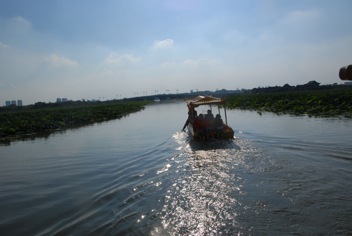 Ϧ�������ӭ�������ϰ�